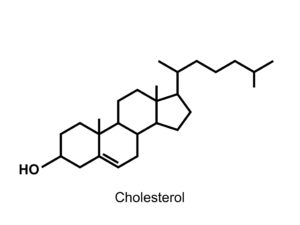 la molécule de cholestérol