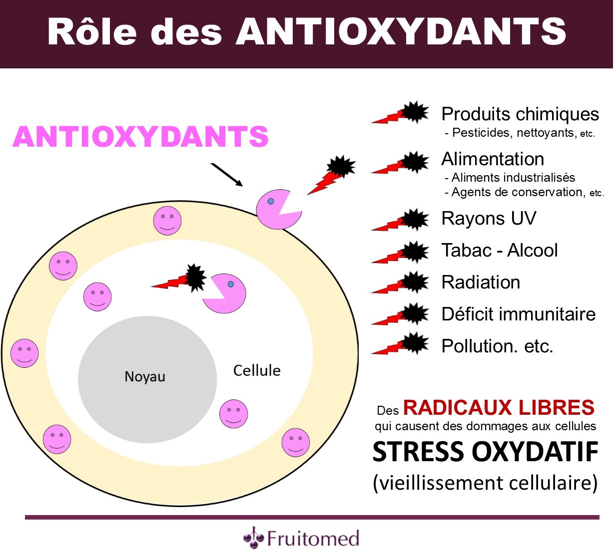 rôle des antioxydants