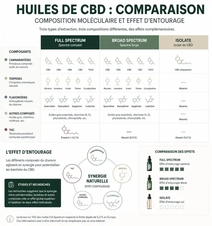 Infographie comparative des types d'huile CBD : Full Spectrum, Broad Spectrum et Isolate pour choisir la meilleure huile CBD.