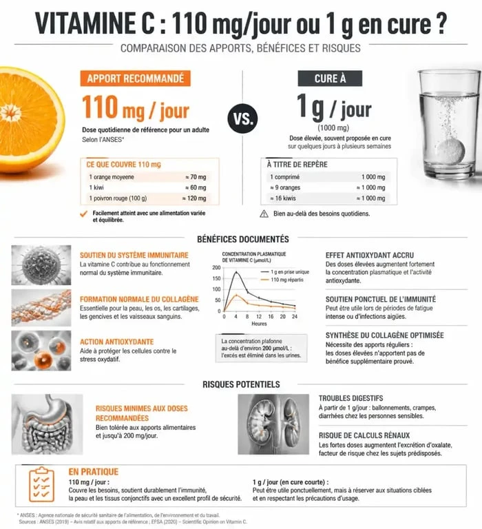 Infographie comparative sur le dosage de 1g de vitamine C par jour et ses effets sur la santé