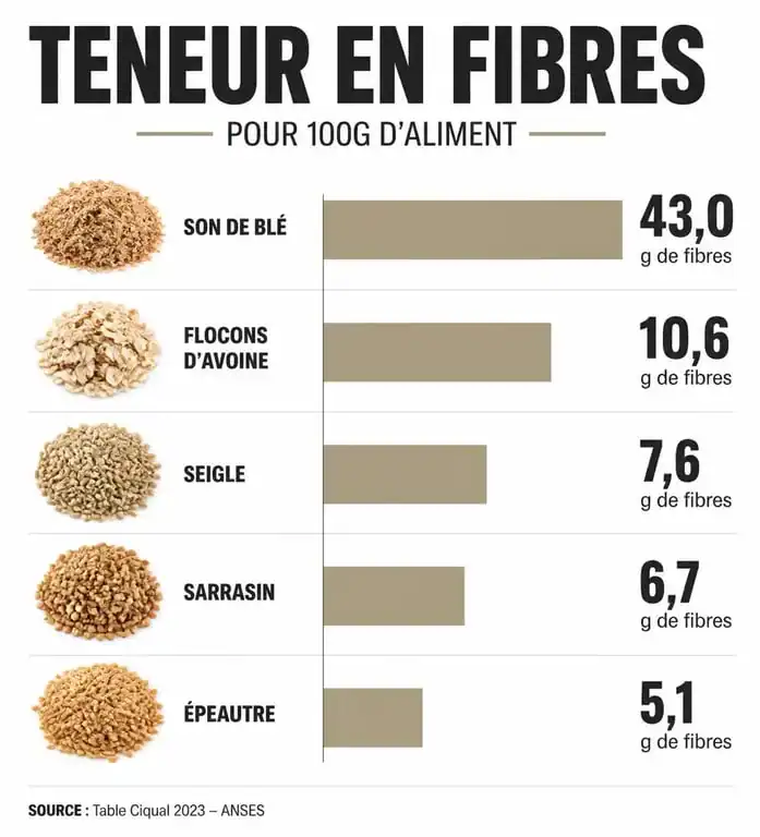 Infographie comparative de la teneur en fibres des céréales riches en fibres pour une alimentation équilibrée