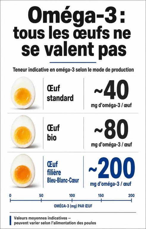 Comparatif de la teneur en oméga-3 dans les œufs selon le mode d'élevage et l'alimentation