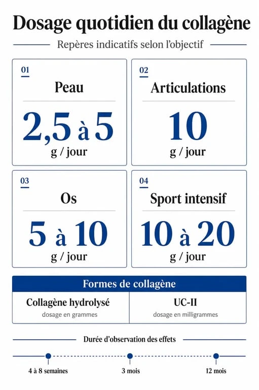Combien de collagene par jour : tableau des doses quotidiennes selon la peau, les articulations, les os et le sport