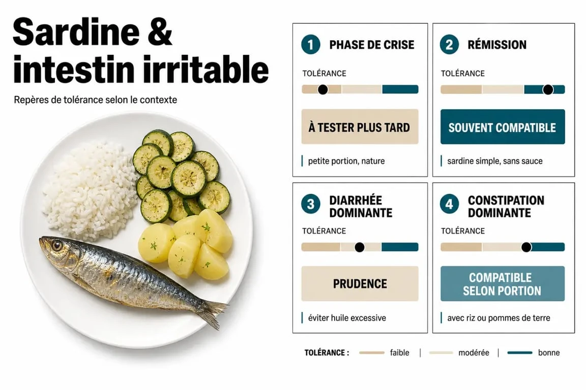 Sardine et intestin irritable : visuel comparant la tolérance selon la phase digestive