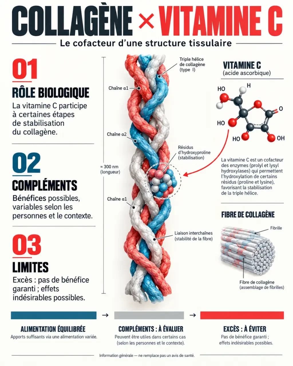 Infographie scientifique sur le lien entre collagène vitamine C, synthèse du collagène et limites des compléments