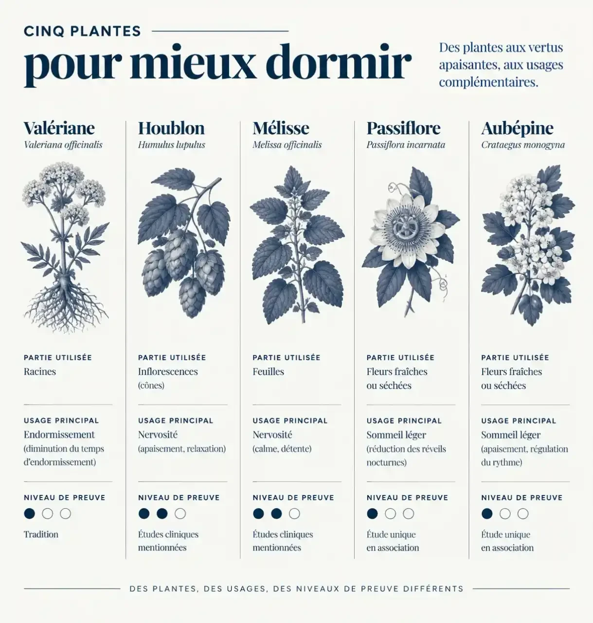 Infographie de phytothérapie pour dormir : comparaison de la valériane, du houblon, de la mélisse, de la passiflore et de l'aubépine selon leur usage et leur niveau de preuve